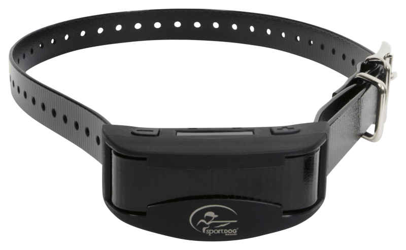 Bass pro cheap bark collar