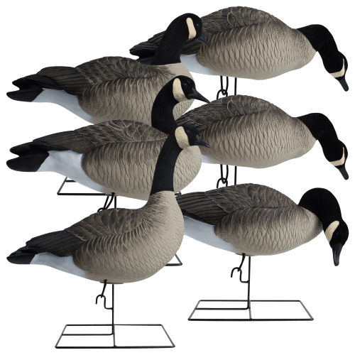 Canada goose web 2.0 sale
