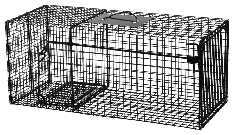 Humane Small Live Animal Trap Control Steel Cage Raccoon Skunk Cat Metal  Traps