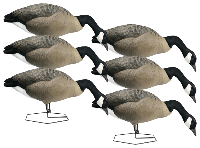 Canada goose pro deal cheap