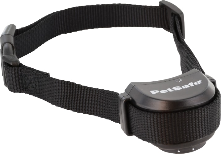 Petsafe free 2025 to roam