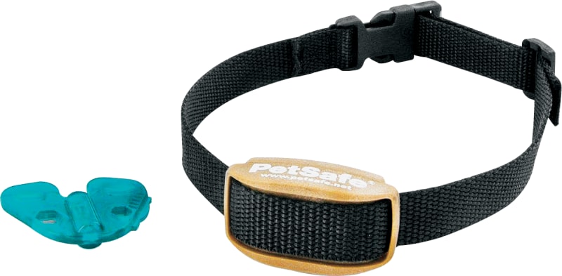 Bass pro new arrivals bark collar