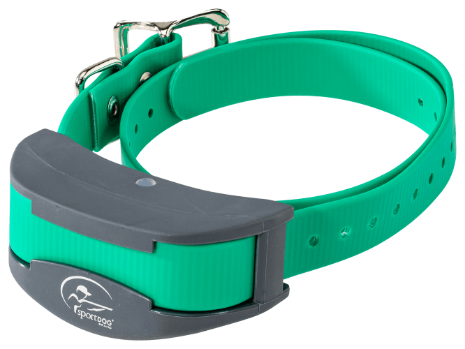 Bass pro dog collar hot sale