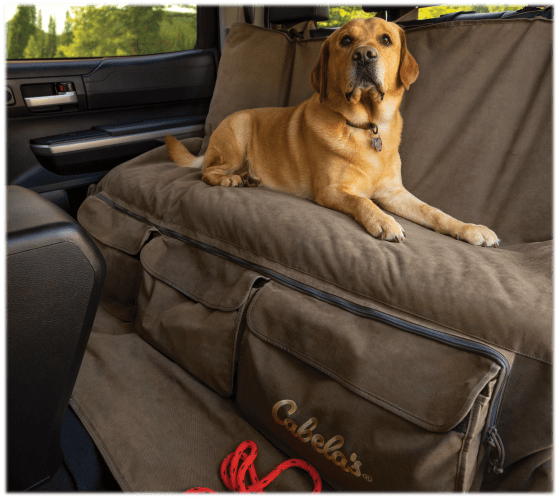 I Love This Backseat Car Cover for Dogs for Road Trips