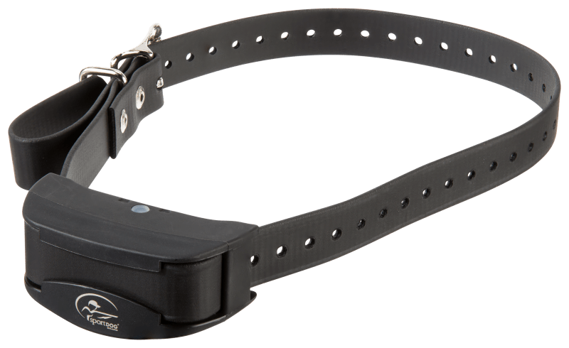 In ground dog fence collars new arrivals