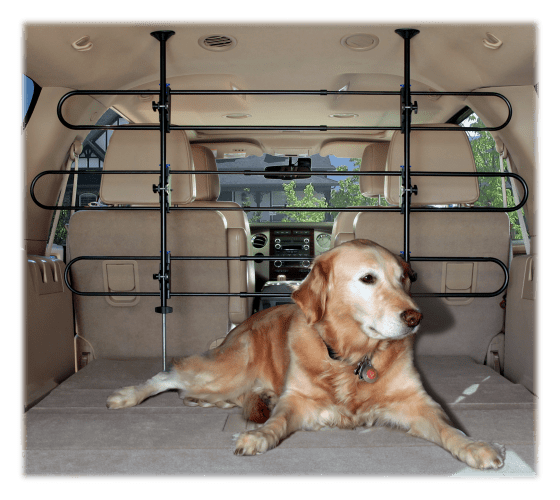 Hatchback top dog barrier