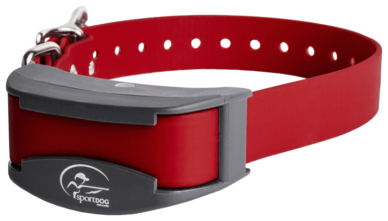 Bass pro dog collar sale