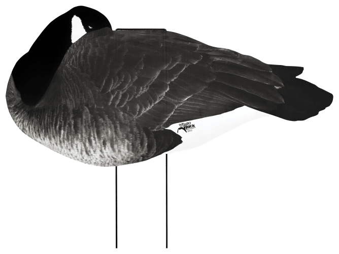 White Rock Decoys Silhouette Canada Goose Decoy Sleeper Pack