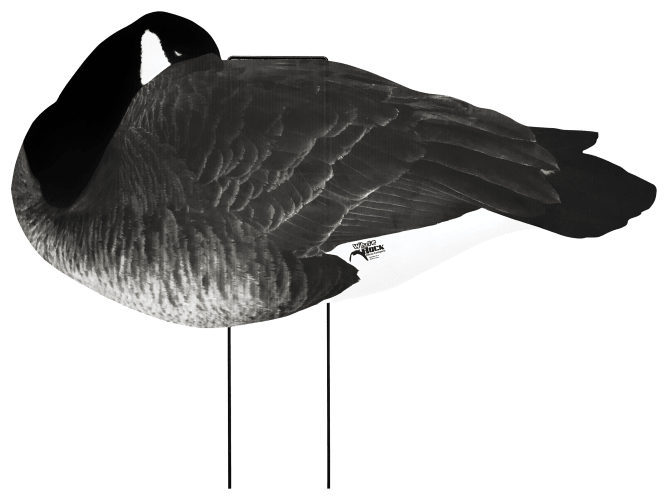 Silhouette decoys: Everything you need to know