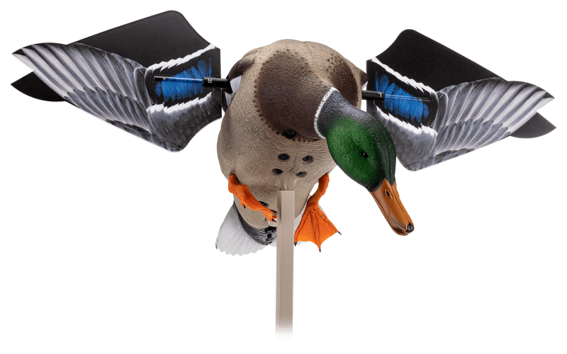 Lucky Duck Twin pack with Double Spinning Wing Backpack