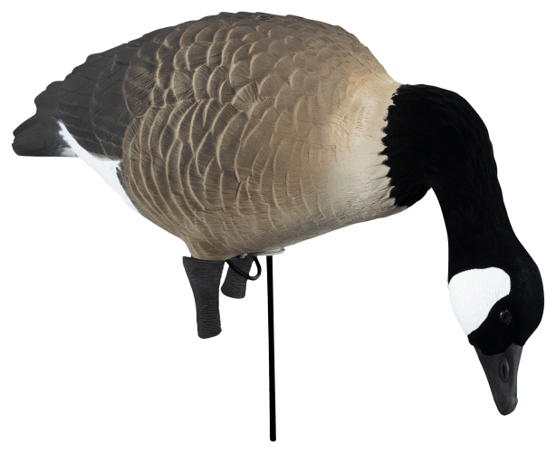 Canada goose shop pro deal