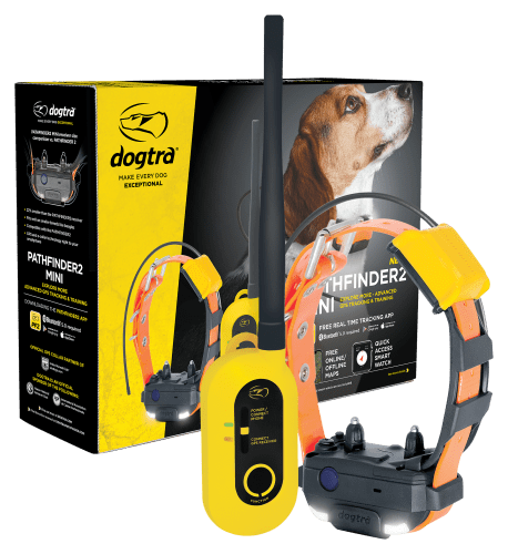 Dogtra outlet gps pathfinder