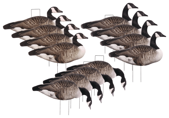 Canada goose 2025 pro deal