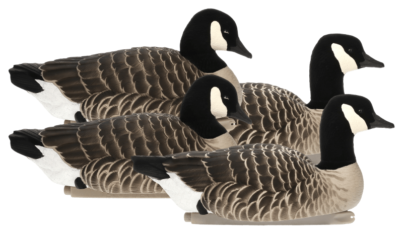 Canada goose amsterdam xls online