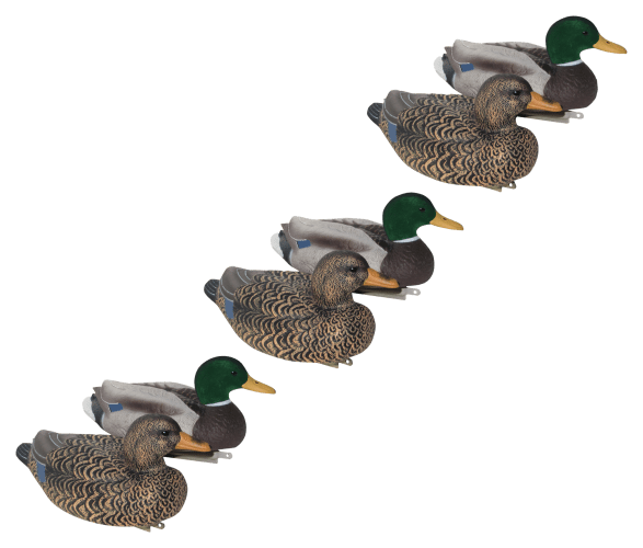 Ducky flocked deals
