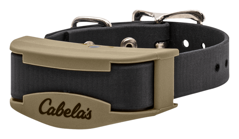 Shock collar bass pro clearance