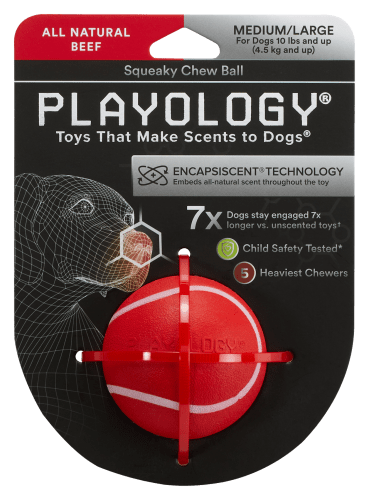 Playology Dental Chew Ball Dog Toy Peanut Butter Medium