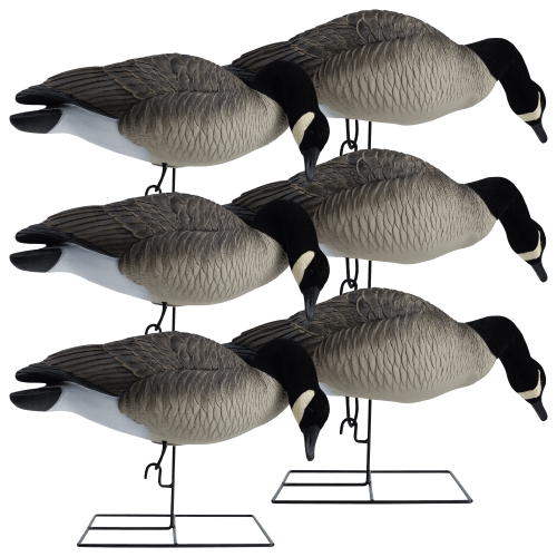 Hardcore Rugged Series Full Body Canada Goose Feeder Decoys Bass