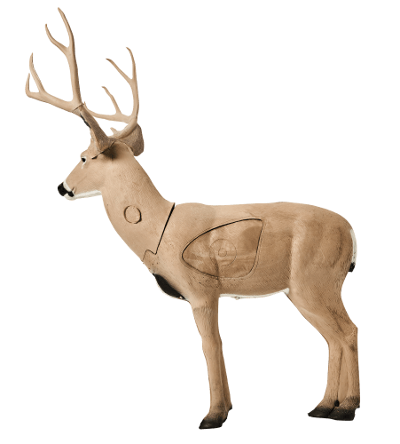 Deer shop target archery