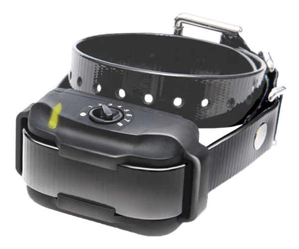 Cabelas dogtra collars sale