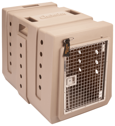 Cabela s GunDog Large Dog Kennel Cabela s