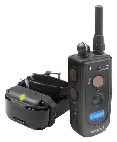Bass pro dog training collar shop