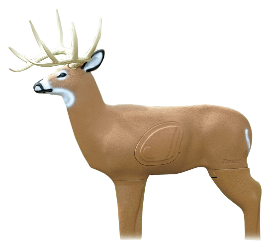 Bow and store arrow deer target
