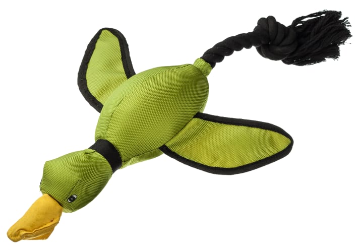 HYPER PET Hyper Squawkers 49843EA Dog Toy, Jack, Nylon/TPR, Green