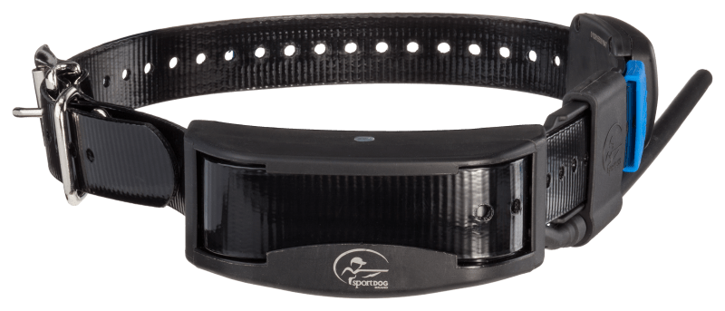 Gps e collar sale