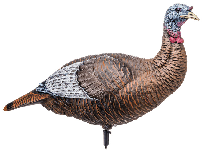 flextone Thunder Chick Upright Hen Turkey Decoy