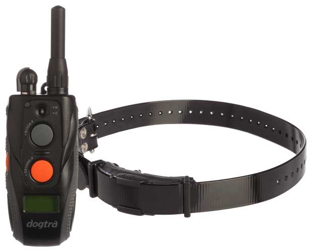 Dogtra remote collar hot sale