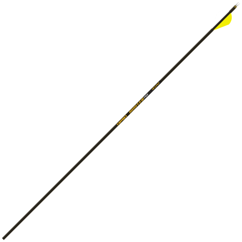 Gold tip hunter sale pro