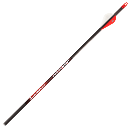 BloodSport Judgement Compound Arrows Bass Pro Shops