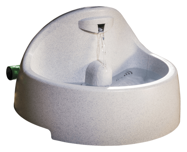 Drinkwell everflow on sale pet fountain