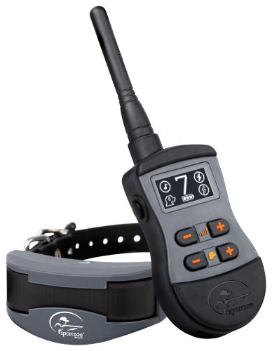 Bass pro shop dog training collar discount