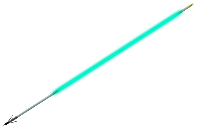 Muzzy Sabre Lighted Bowfishing Arrow - Carp Point