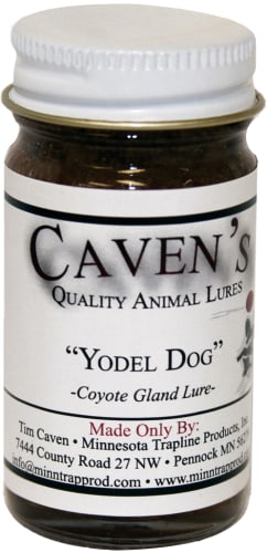 Caven's Yodel Dog Coyote Gland Trapping Lure