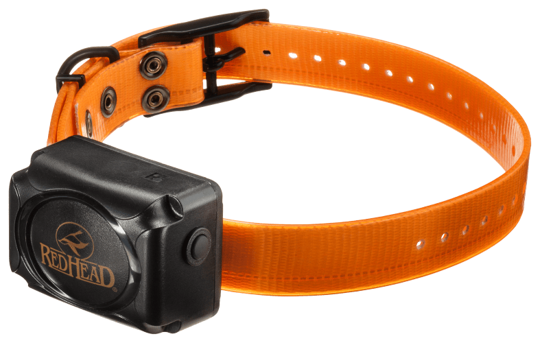 Bass pro dog shock collar 2025