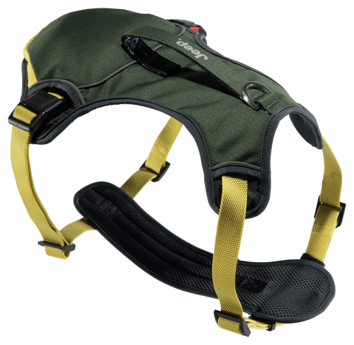 Creations capital dog harness cheap