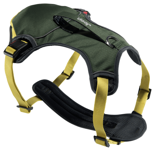 Creations capital cheap dog harness