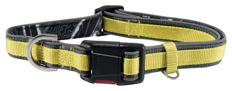 Bass pro new arrivals dog collars