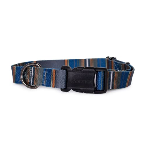 Pendleton Pet Olympic National Park Dog Collar