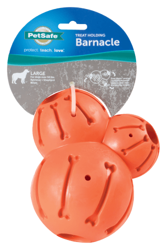 PetSafe Busy Buddy Barnacle Bass Pro Shops