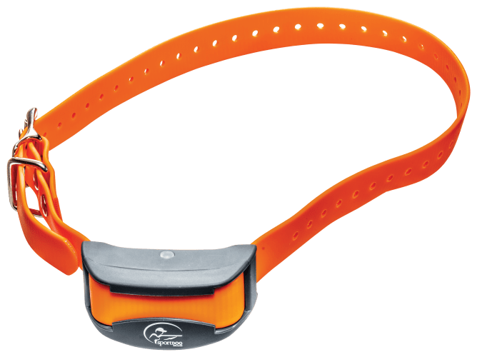 Bass pro shock collars on sale