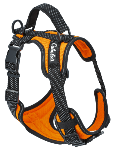 Hi vis 2025 dog harness