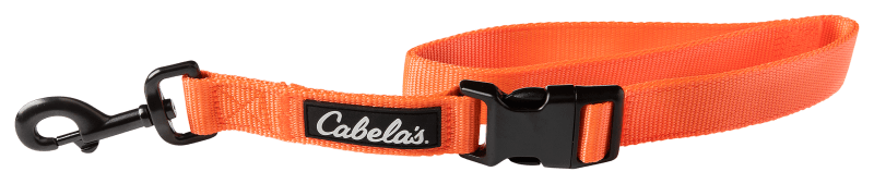 Cabela's dog training supplies shop