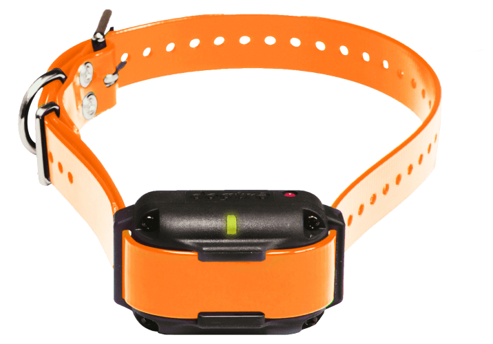Dogtra 2300NCP Additional E Collar for Dogs Cabela s