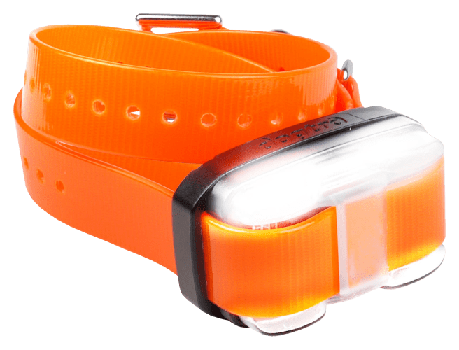 Cabelas dogtra shop collars