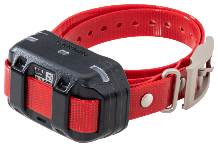 Cabelas shock collar online