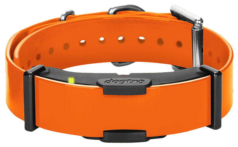 Bass pro dog collar hot sale